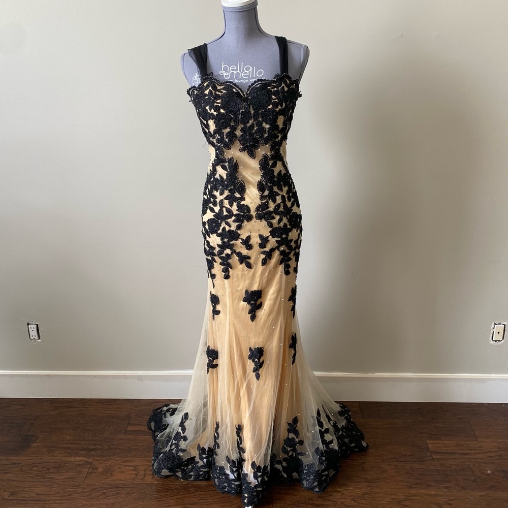 Black Lace Appliqué Evening Gown - Elegant Black and Nude Dress